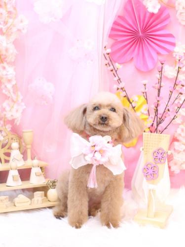 20250315メルちゃん